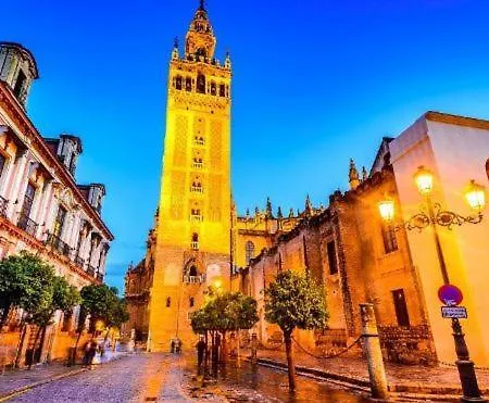 En Santa Cruz Catedral Giralda Nuevo 2025 * Seville